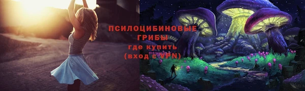не бодяженный Гусь-Хрустальный