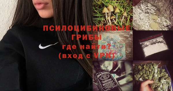 не бодяженный Гусь-Хрустальный