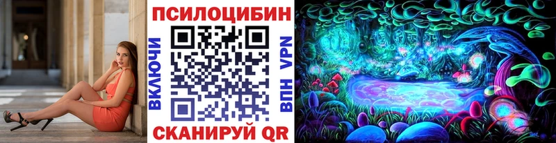 купить наркотики сайты  Иваново  Псилоцибиновые грибы мухоморы 