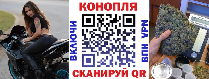 Канабис OG Kush  Иваново 